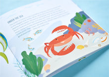 Load image into Gallery viewer, Keeping Safe on the Web with Kyle the Kingfish