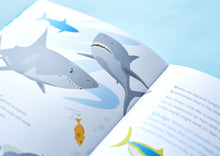 Load image into Gallery viewer, Keeping Safe on the Web with Kyle the Kingfish